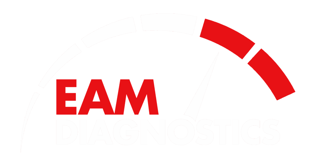 EAM Key & Lock DIAGNOSTICS